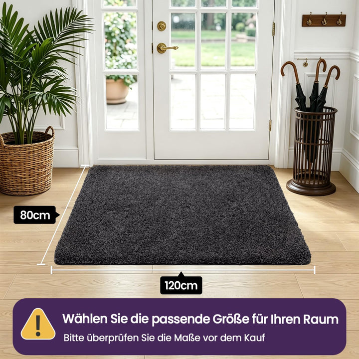 DEXI Schmutzfangmatte,rutschfeste Fussmatte für Innen und Aussen,Waschbar Eingangsteppich Saugstarke