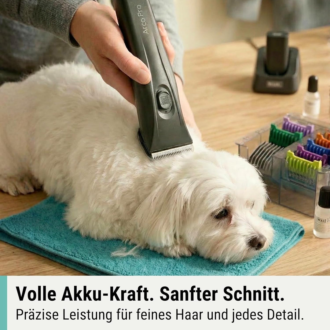 Agrarzone Edition Moser Arco Pro Hundeschermaschine 1 Akku - mit Aufsteckkamm Set - Schermaschine Hu