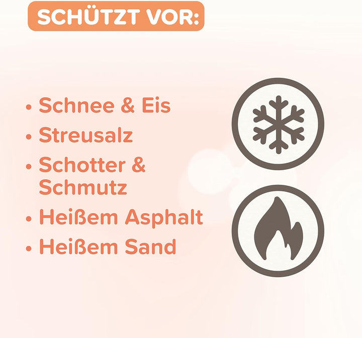 beaphar - Pfoten-Pflege Spray Für Hunde - Schützt Vor EIS, Schnee, Streusalz - Mit Propolis, Glyceri