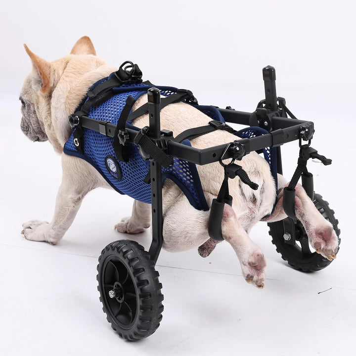 2 Rad faltbar Hund Rollstühle,kleine Haustier Hinterbein Rollstuhl,einstellbare Unterstützung Mesh-G