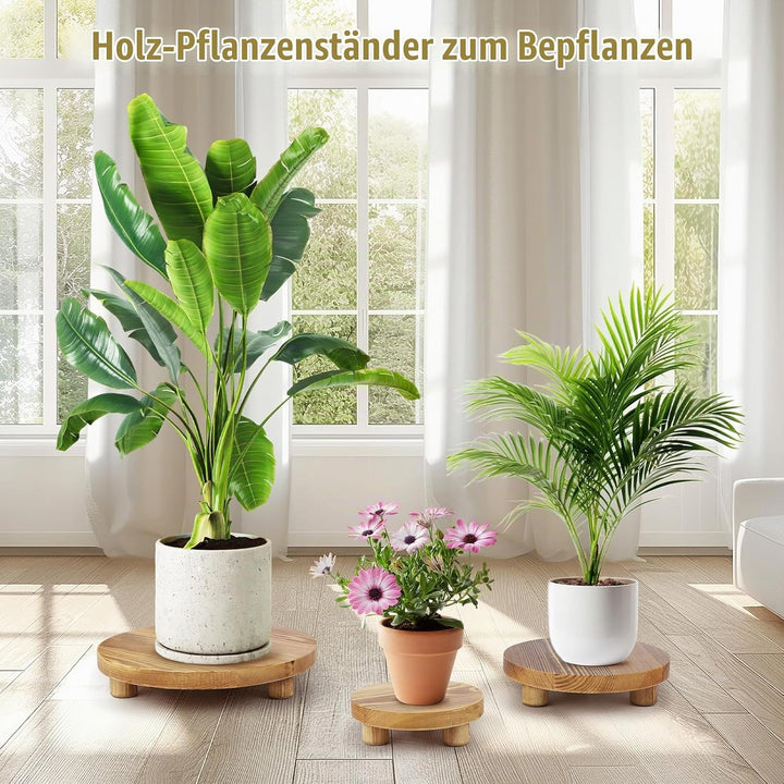 Holzpflanzenständer, Holzpodeste für den Innen- und Aussenbereich zur Dekoration, Holz-Hocker-Ausste