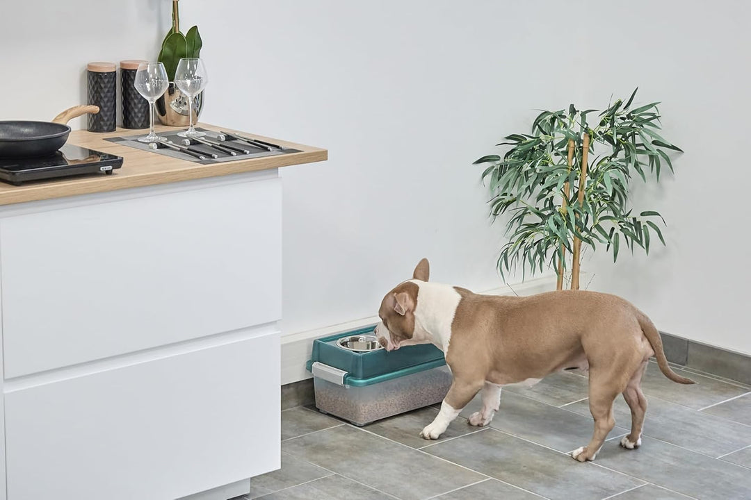 Iris Ohyama, Erhöhtes Futterstation mit Kunststoff-Box, 18L, Grün, Erhöhte Futterstation für Hunde,