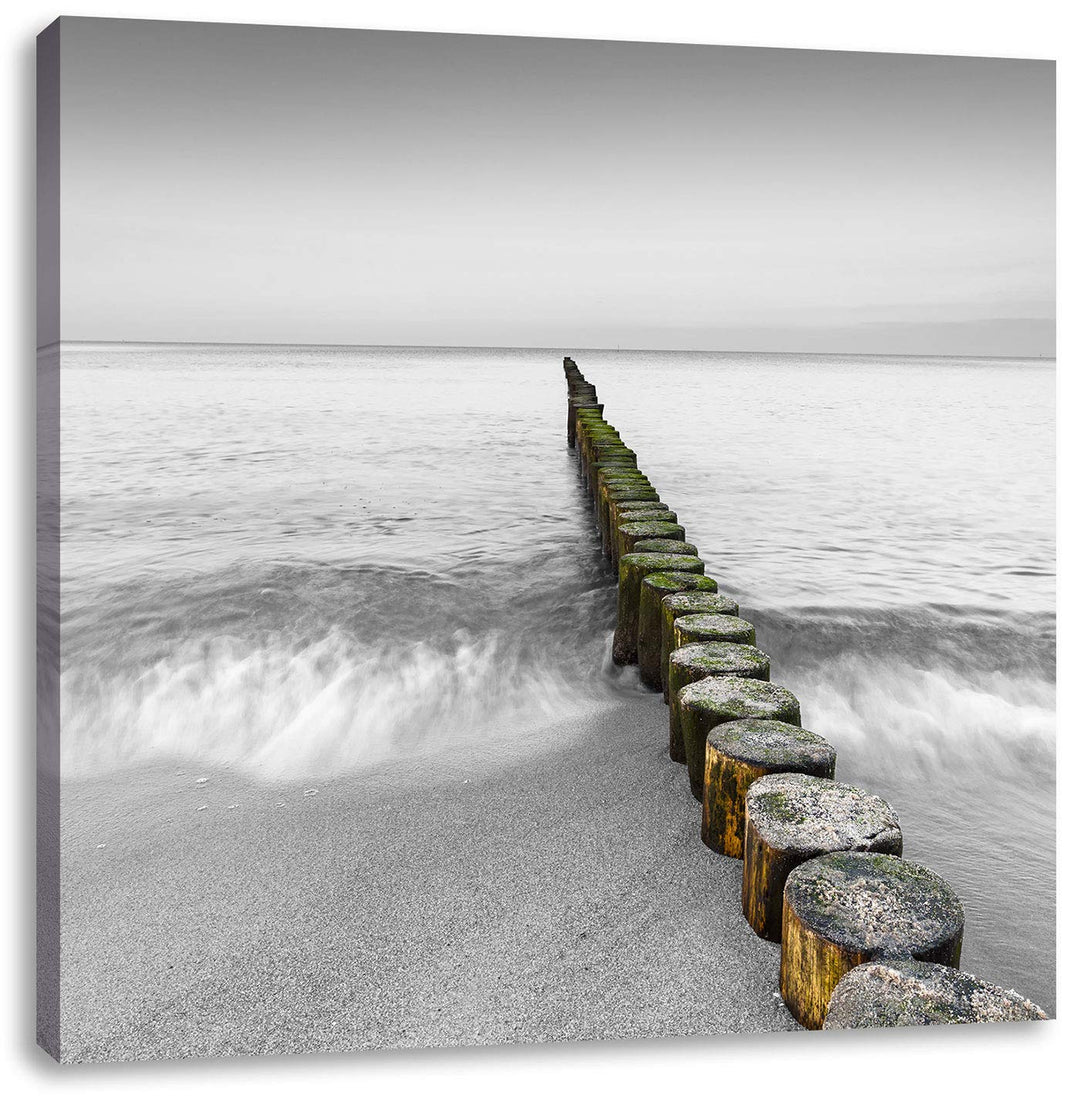 Pixxprint kleine Baumstümpfe im Meer als Leinwandbild/Grösse: 70x70 cm/Wandbild/Kunstdruck/fertig be
