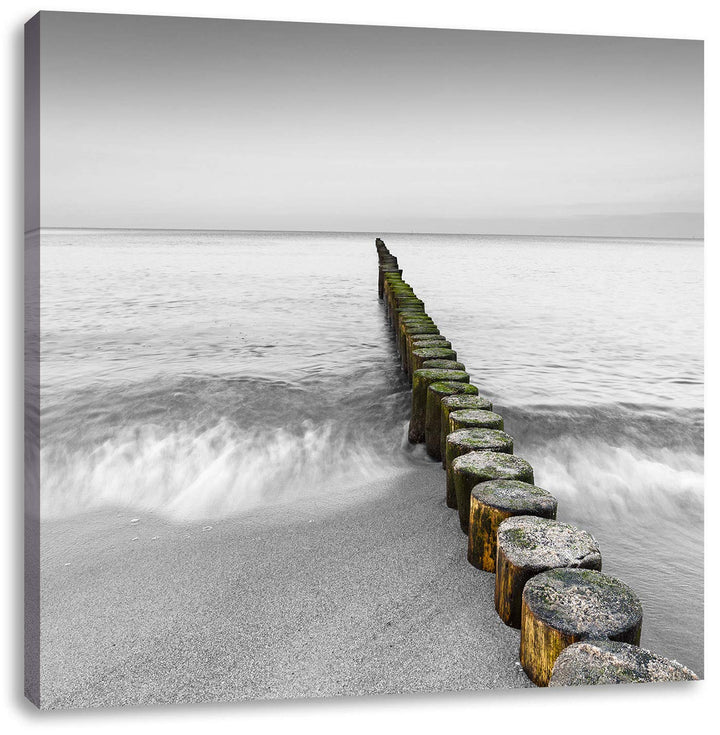 Pixxprint kleine Baumstümpfe im Meer als Leinwandbild/Grösse: 70x70 cm/Wandbild/Kunstdruck/fertig be