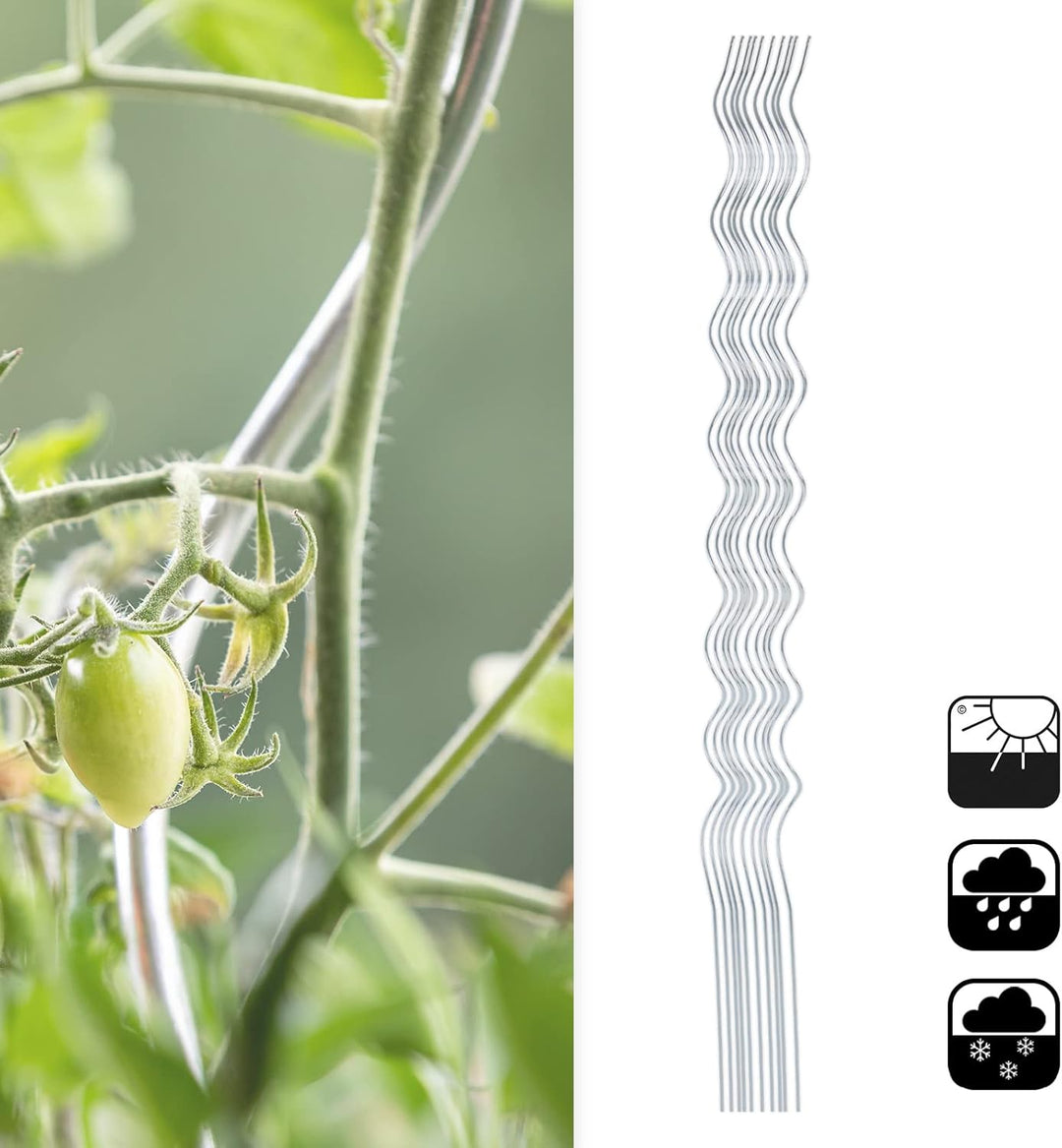 Floordirekt Tomatenspiralstäbe inkl. Zubehör Set - 180 cm Länge - 10 Stück - Tomatenstab - Spiralsta