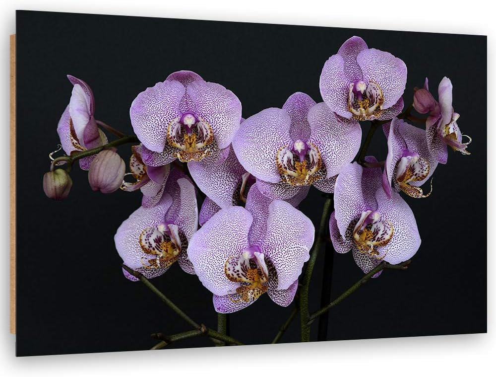 Wandbild Orchideen Modern Deko Kunst Bilder für Wohnung Violett 90x60 cm Deko Paneel 90x60 cm Violet