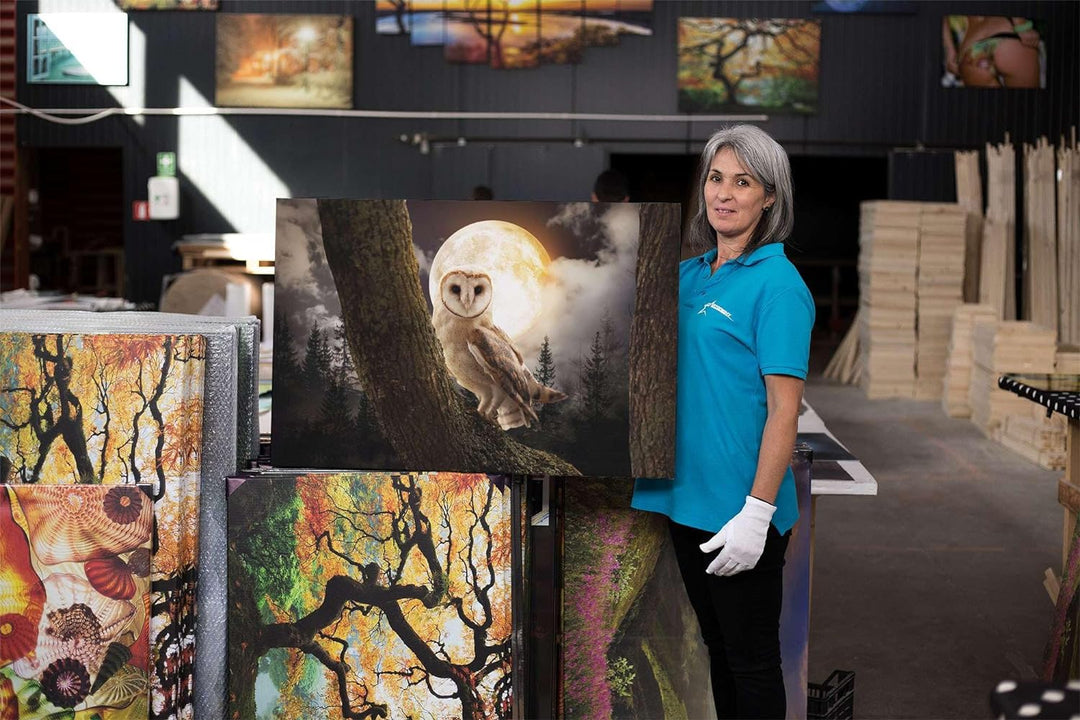 Startonight Bilder - Eule und der Mond - Leinwandbilder Moderne Kunst, Wanddeko Kunstdrucke, Wandbil