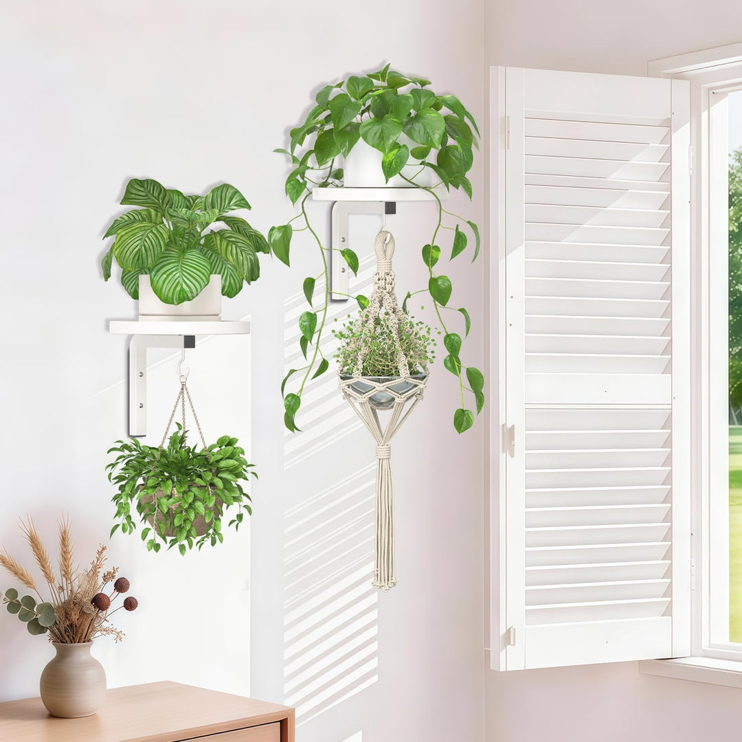 iDavosic.ly Wand Pflanzenhalter Set aus 2 Stück, Metall Blumenständer mit 2 Haken, Wandmontage Blume
