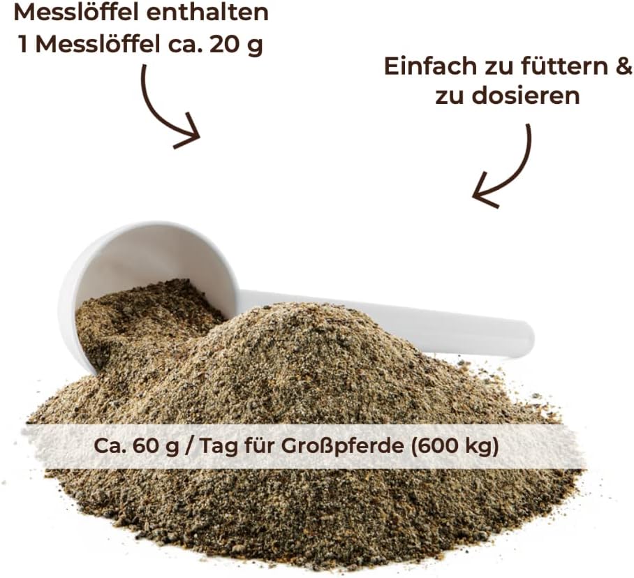 MIGOCKI Magnesium für Pferde Futterergänzung getreidefreies Pulver 1,5 kg