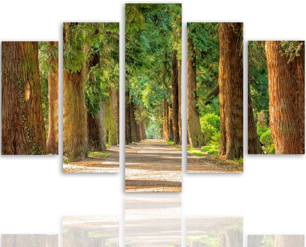 Feeby Bild auf Leinwand Landschaft 5 Teilig Modern Natur Allee Wald bunt 200x100 cm Leinwandbild 200