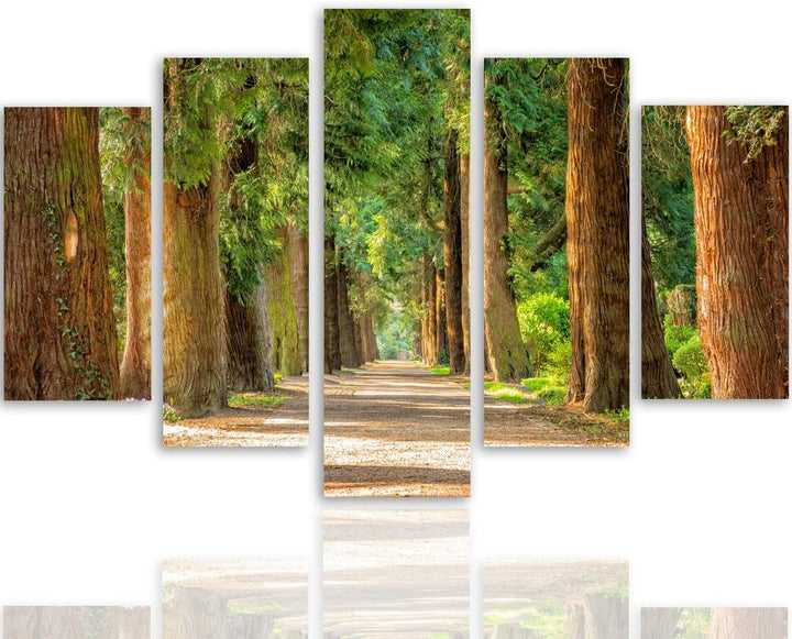 Feeby Bild auf Leinwand Landschaft 5 Teilig Modern Natur Allee Wald bunt 200x100 cm Leinwandbild 200