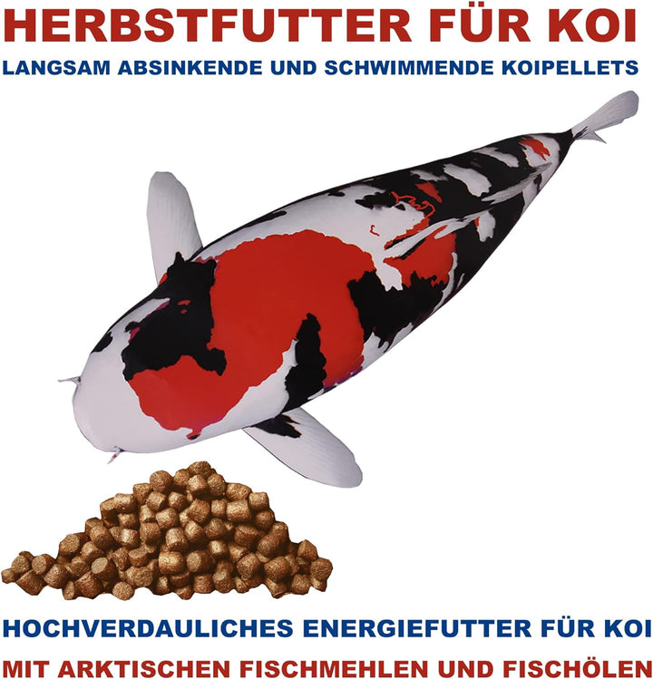 Lachsöl Koi und Teichfische kaltgepresst Omega 3 Öl Koi Futterzusatz deutsche Spitzenqualität Energi