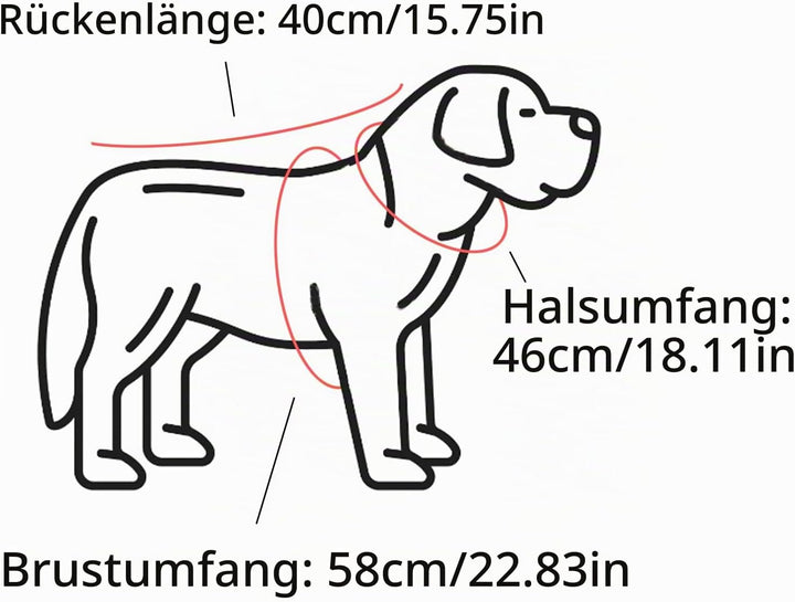 Regenmantel für Hunde Mit Kapuze - Verstellbar, für Unterschiedliche Grössen und Formen (Blau)