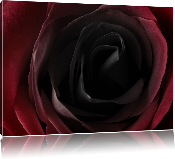 Rote Rose Schwarz/Weiss, Format: 100x70 auf Leinwand, XXL riesige Bilder fertig gerahmt mit Keilrahm