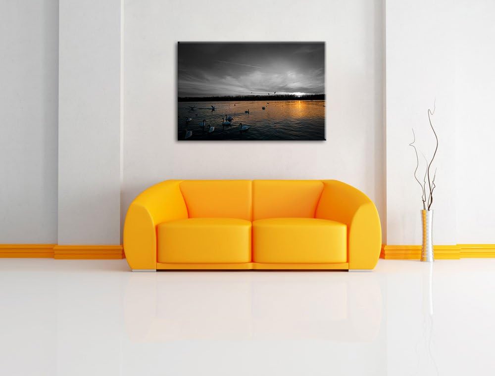 Weisse Schwäne im Sonnenuntergang schwarz/weiss Format: 100x70 auf Leinwand, XXL riesige Bilder fert