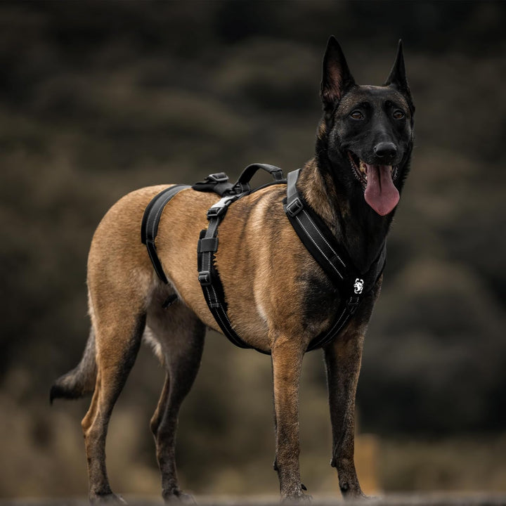 OneTigris Hundegeschirr, HOUNDLOCK Taktisches Geschirr Ausbruchsicher Einstellbar Weich Gepolstert B