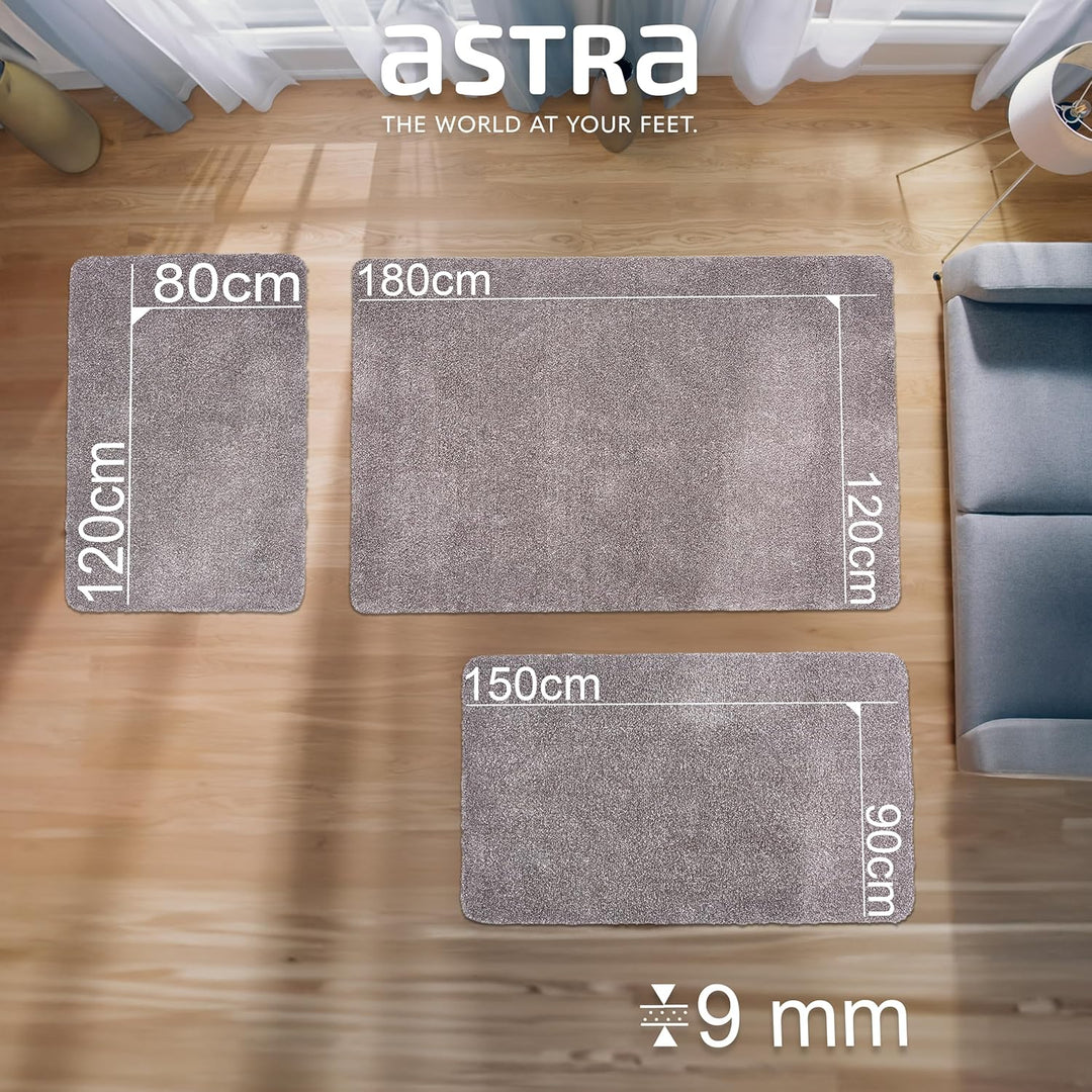 Astra Schmutzfangmatte innen waschbar 80x120 cm – Sauberlaufmatte grau 100% Baumwolle Türmatte - Ent