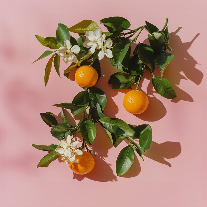 Elie Saab Le Parfum Essentiel EdP, Linie: Le Parfum Essentiel, Eau de Parfum für Damen, Inhalt: 30ml