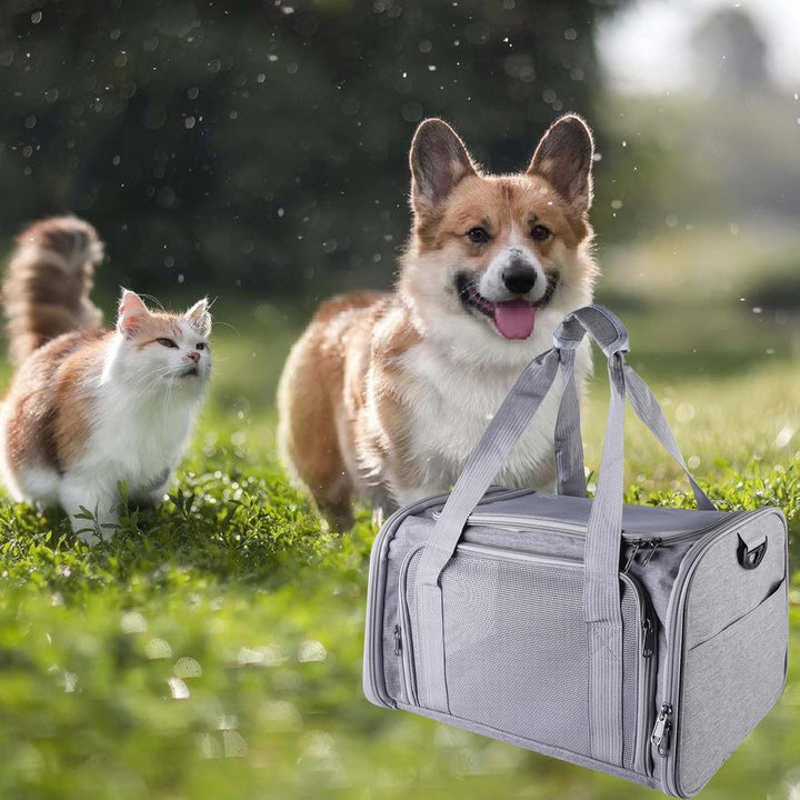 40*25*25cm Katzentransporttasche Haustiertasche kleine, 3kg Faltbare Transportbox Katze mit Schulter