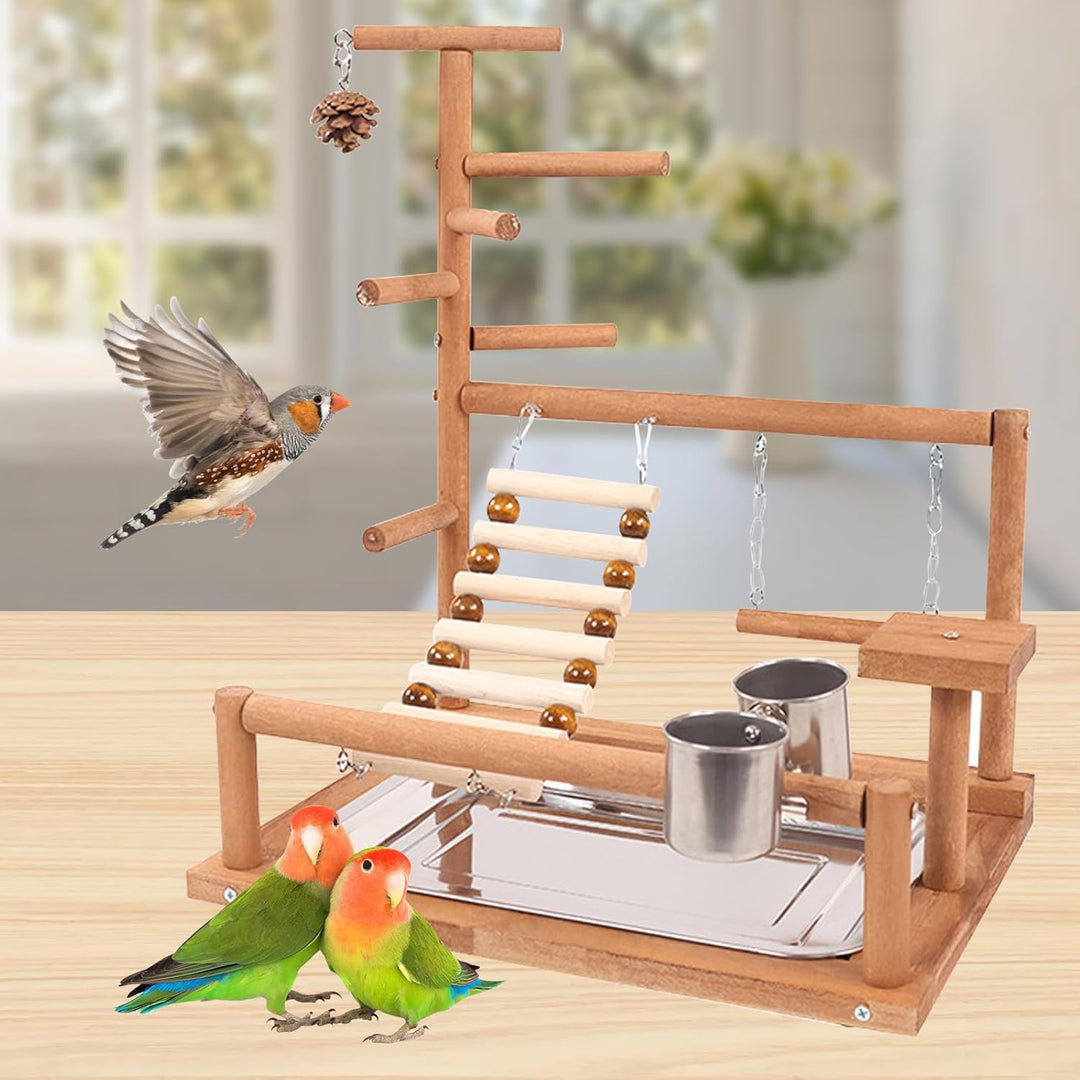 Parrot Playstand, Vögel Spielplatz, Wellensittich Spielzeug Vögel Spielplatz Papagei Spielplatz Papa