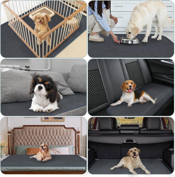 Welpen Unterlagen 2 Stück 104 x 104 cm Inkontinenzunterlage Waschbar PIPI Pads für Meerschweinchen H