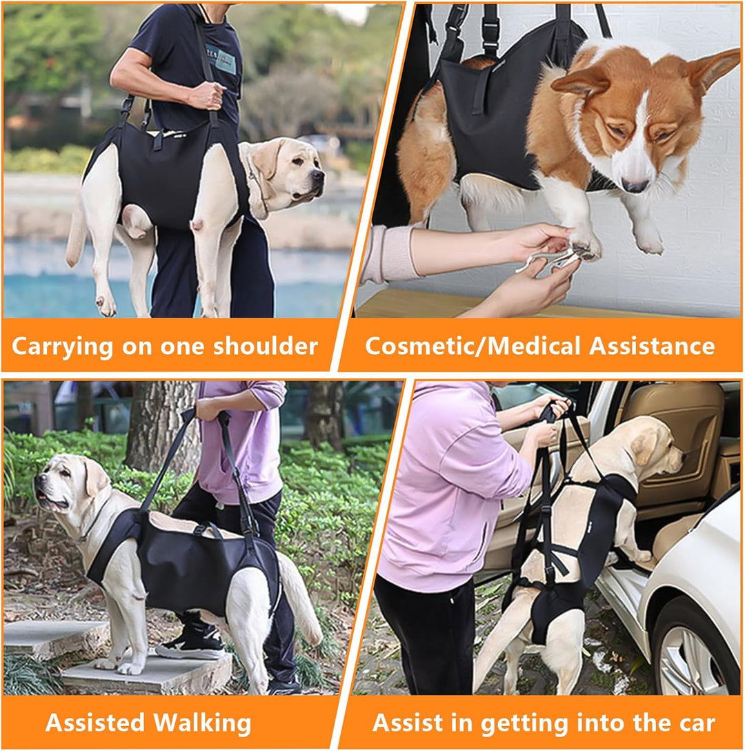 YOUNGSAY Tragehilfe Hund, Verstellbare Tragegurt Hund, Gross Hunde Tragehilfe für Behinderte, Blindh