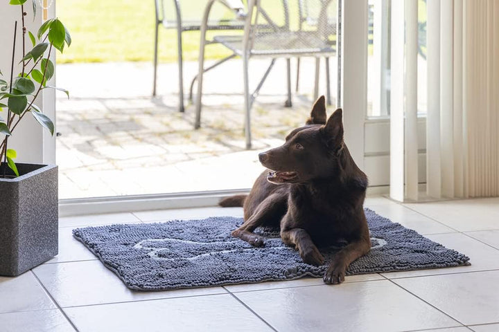 DGS Dirty Dog Doormat L: 90 cm B: 66 cm grau 90 X 66 CM Grau, 90 X 66 CM Grau