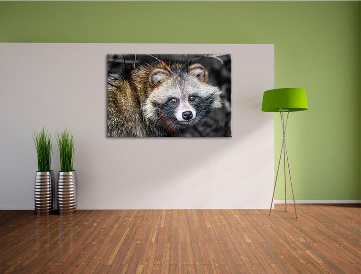 süsser Waschbär schwarz/weiss Format: 100x70auf Leinwand, XXL riesige Bilder fertig gerahmt mit Keil
