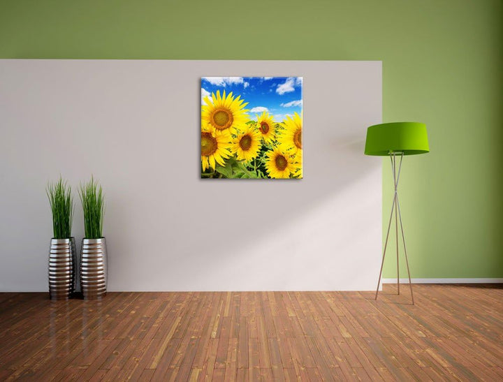 Pixxprint Sonnenblumenwiese unter blauem Himmel, Format: 70x70 auf Leinwand, 70x70