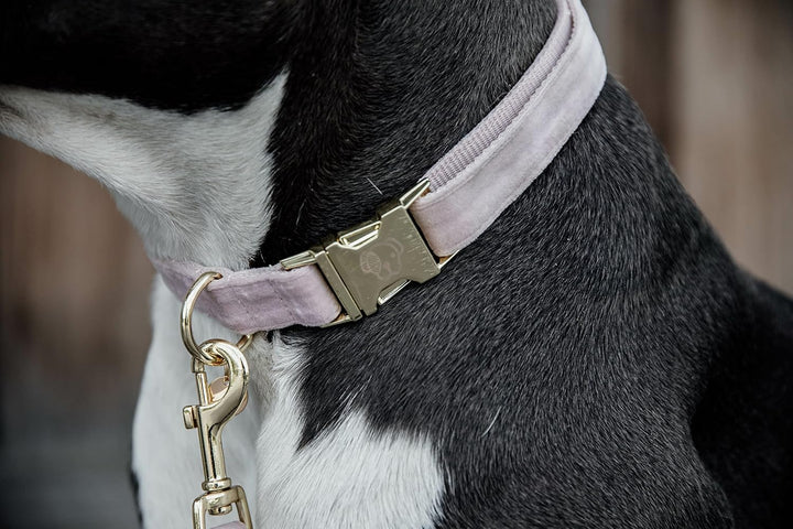 Kentucky Dogwear Halsband Dog Collar 'Velvet' - Old Rose, L L soft rose, L soft rose
