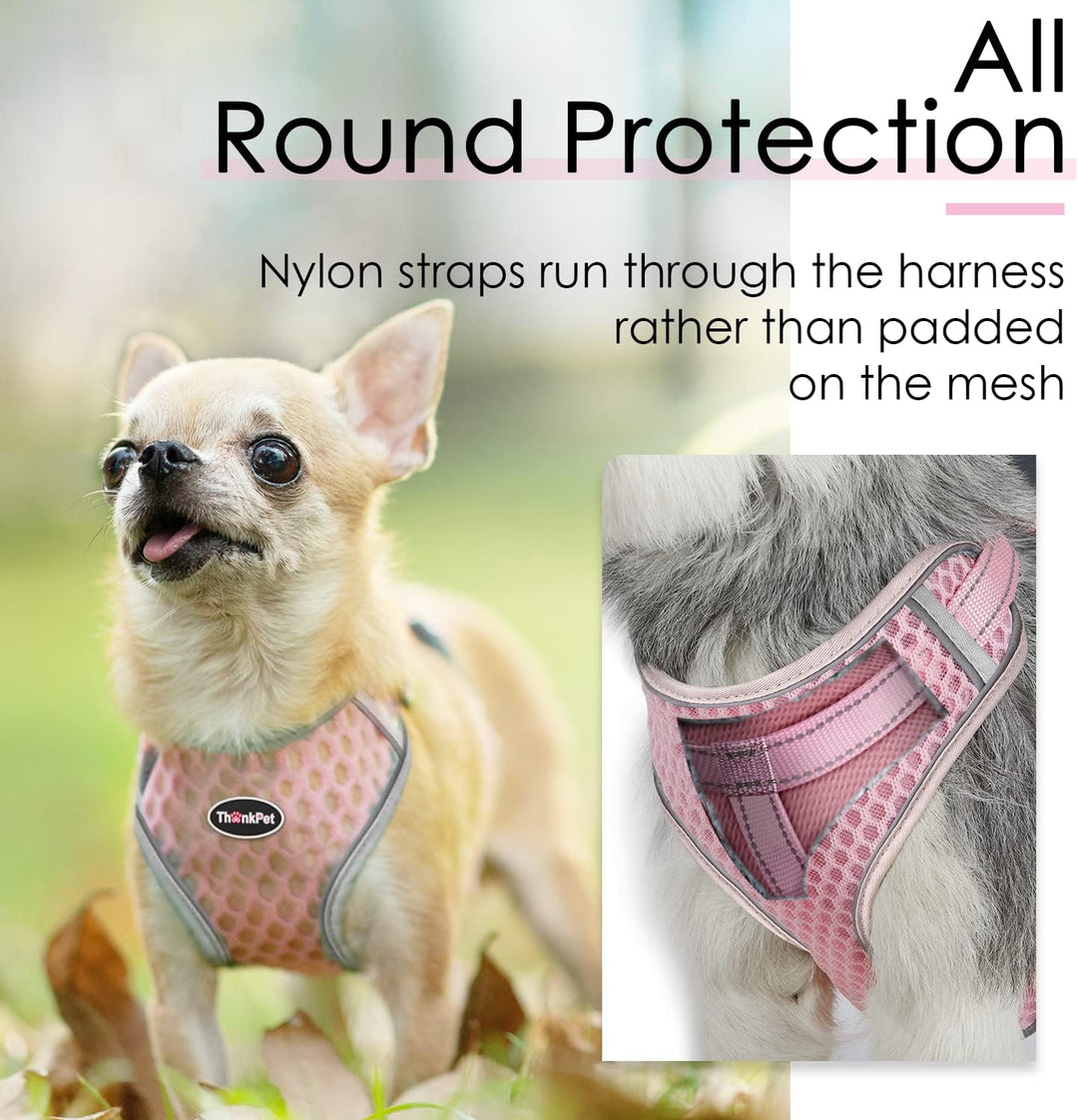 ThinkPet No-Pull Hundegeschirr Leine Set, Atmungsaktiv Brustgeschirr für Kleine Mittlere Grosse Hund