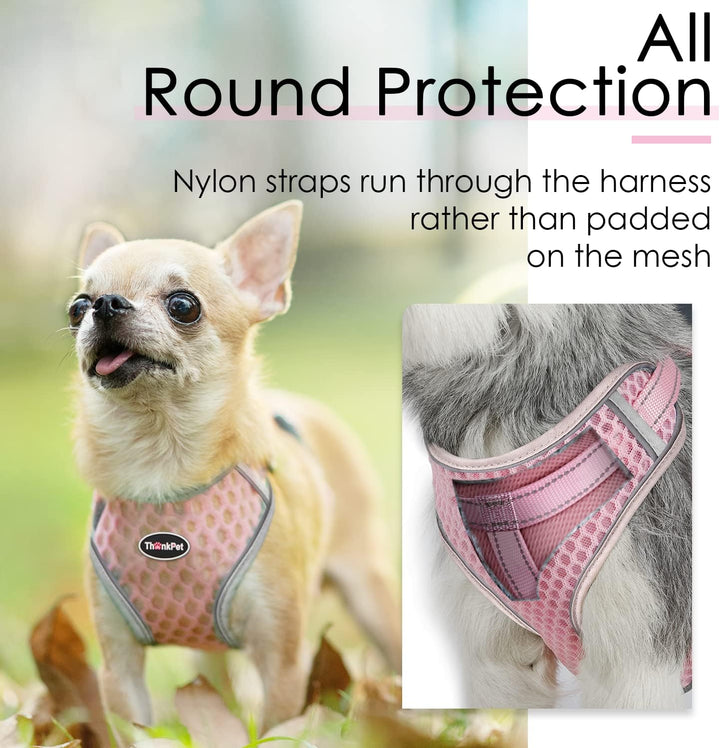 ThinkPet No-Pull Hundegeschirr Leine Set, Atmungsaktiv Brustgeschirr für Kleine Mittlere Grosse Hund