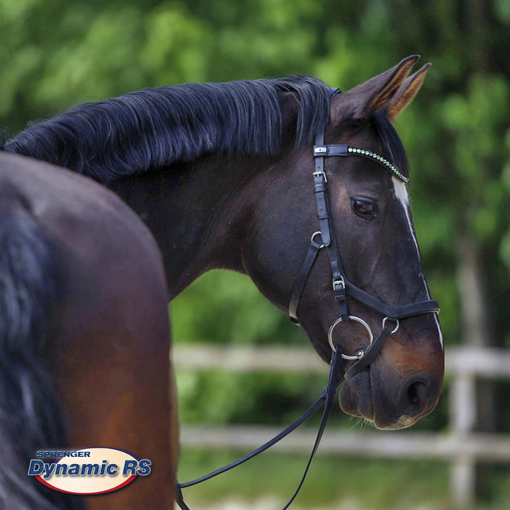 Sprenger Dynamic RS Trense - 14mm - SENSOGAN silber 11.5, silber 11.5