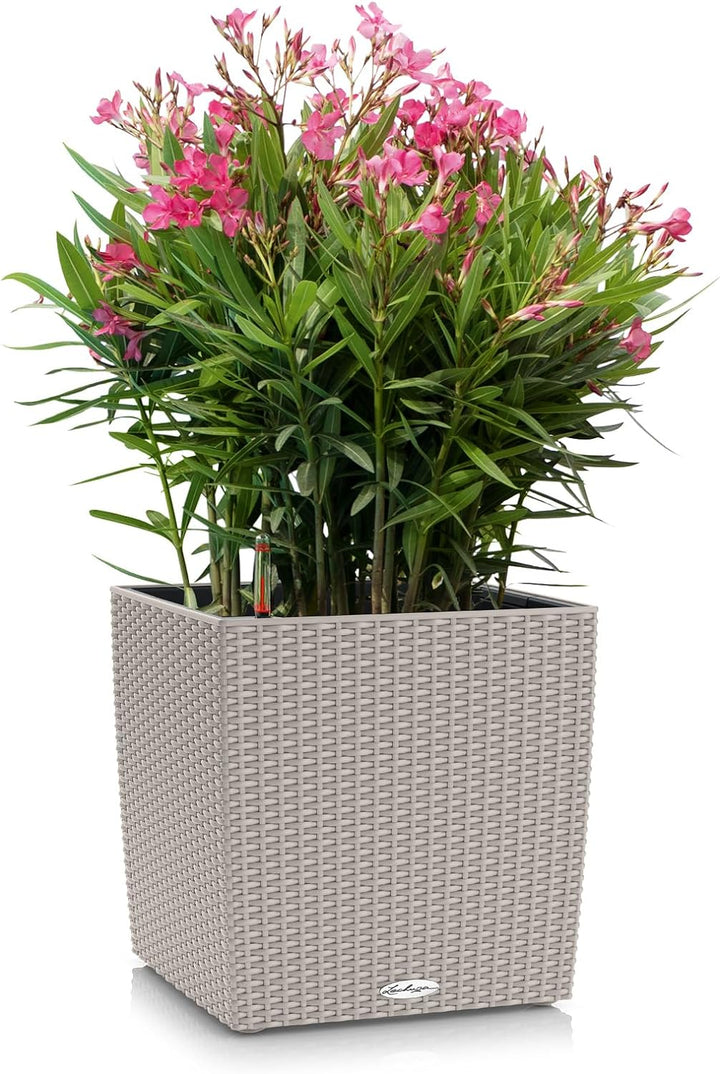 LECHUZA CUBE Cottage 50 sandbraun 15396 Garten 49x49x49,5 cm Sandbraun, Garten 49x49x49,5 cm Sandbra