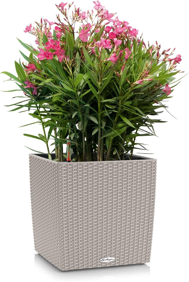 Lechuza Cube Cottage 40 Komplettset sandbraun Rustikal 39 x 39 x 40 cm Sandbraun, Rustikal 39 x 39 x