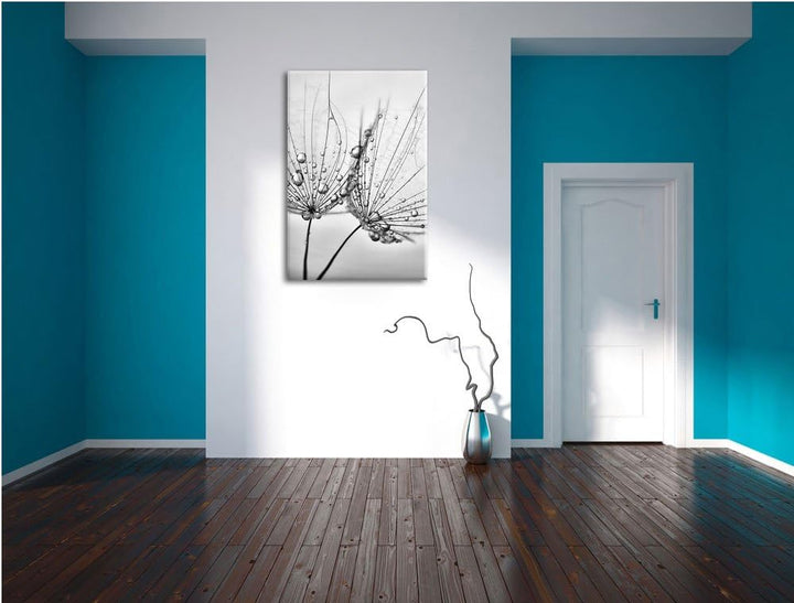 Pixxprint Monocrome, Pusteblumen mit Tautropfen, Format: 100x70 auf Leinwand, 100x70