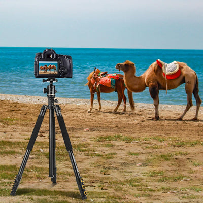 Andoer 200CM / 78inch Kamera Stativ 2 in 1 Aluminium-Wende-Einbeinstativ für DSLR mit 360-Grad-Kugel