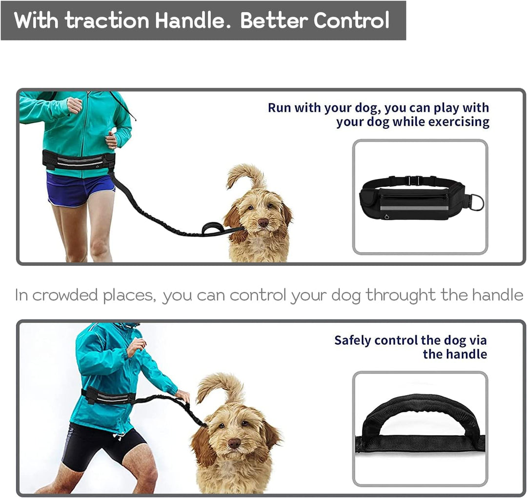 Edipets, Joggingleine Hunde, Freihändig, Laufen, Wandern, Gurtband, Anti-Stress, Reflektierend, 160-