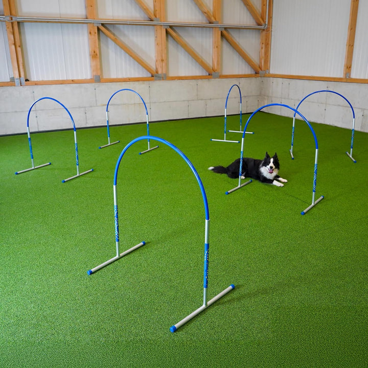 6 x Hoopers Agility Hoops - NADAC Hoopers Agility Hoops (Grosspackung) ALU Hoops (ohne Mittelstrebe)