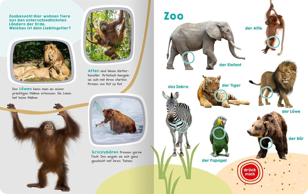 Mein grosses Buch der Tiergeräusche: Mit 50 Sounds | Hochwertiges Soundbuch mit realistischen Sounds