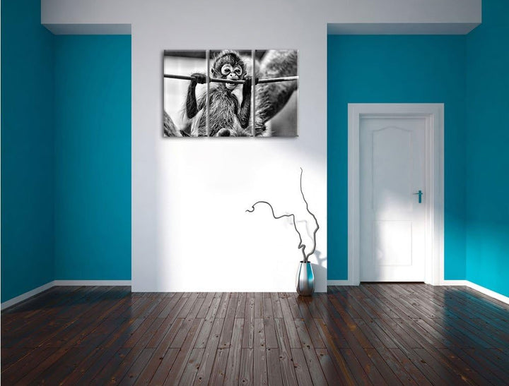 Pixxprint Orang-Utan-Junges isst als Leinwandbild/Grösse: 3 Teilig (120x80) cm/Wandbild/Kunstdruck/f