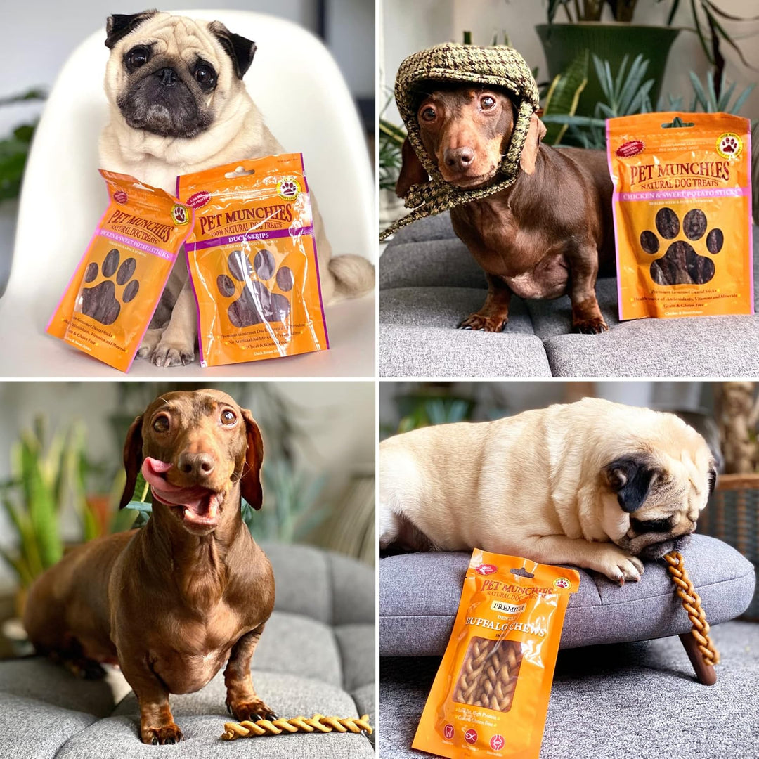 Pet Munchies Wild Salmon Strips Hundeleckerli, Premium Getreidefreies Hundekauspielzeug mit natürlic