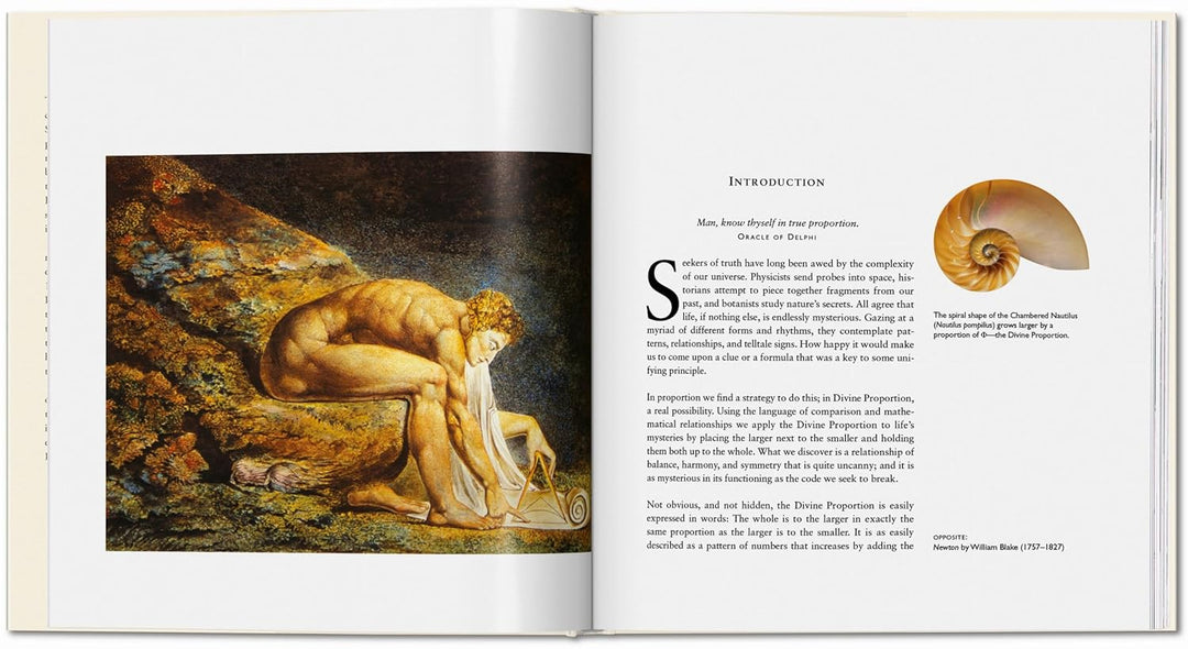 Der Geheime Code, Gebundenes Buch