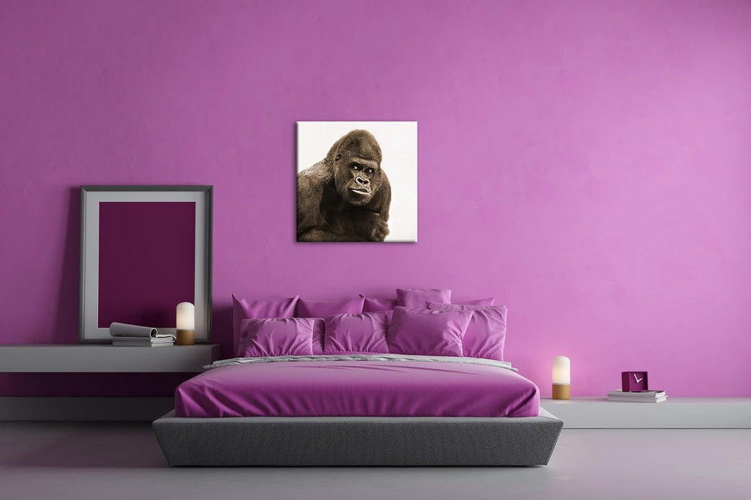 Gorilla Silberrücken Format: 70x70 Effekt: Sepia als Leinwandbild, Motiv fertig gerahmt auf Echtholz