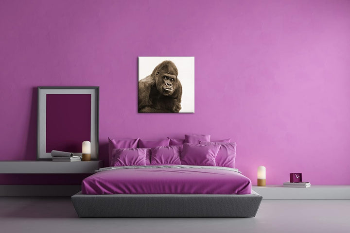 Gorilla Silberrücken Format: 70x70 Effekt: Sepia als Leinwandbild, Motiv fertig gerahmt auf Echtholz