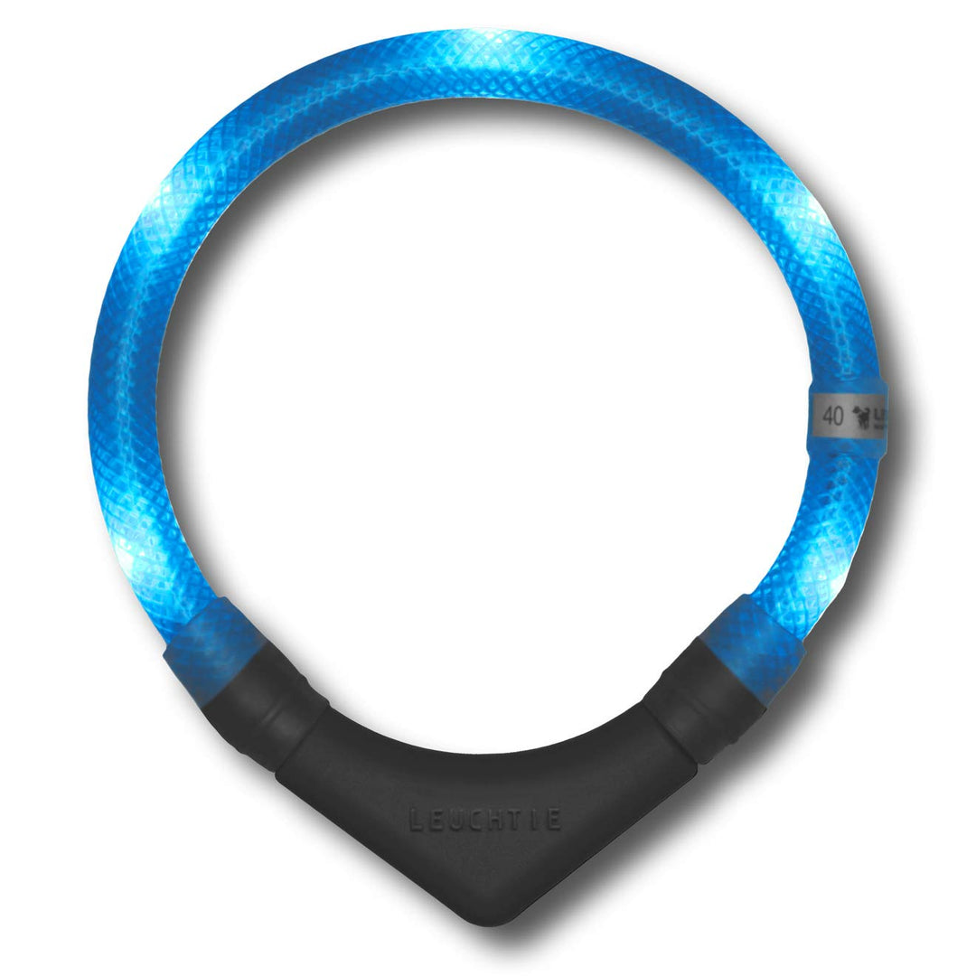 LEUCHTIE® Leuchthalsband Plus eisblau Grösse 50 I LED Halsband für Hunde I 100 h Leuchtdauer I wasse