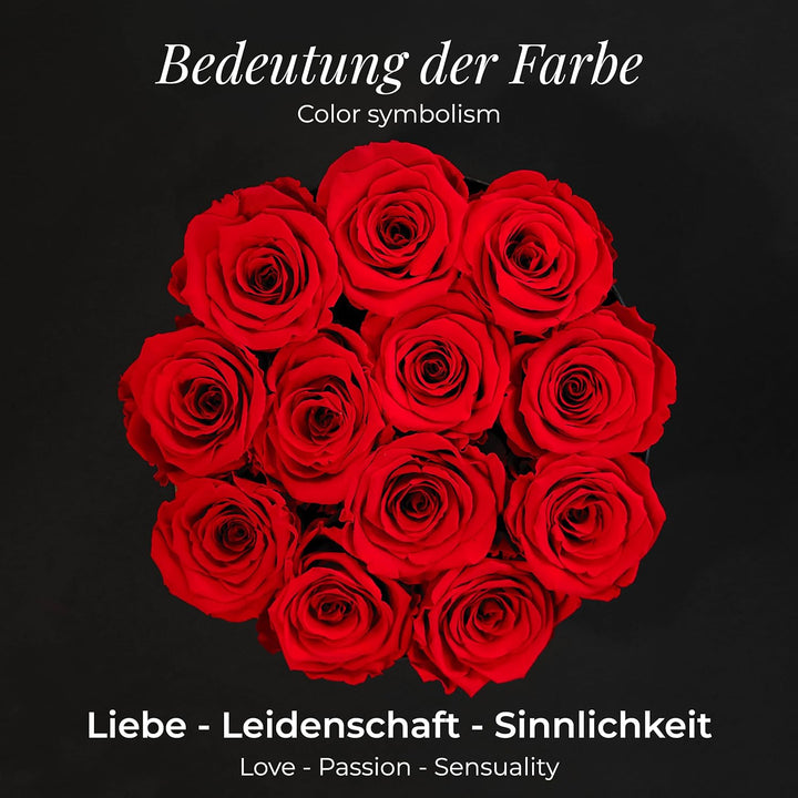 Amoroses Superior 12 echte stabilisierte Rosen mit handgefertigter Hutschachtel aus Holz - Blumenstr