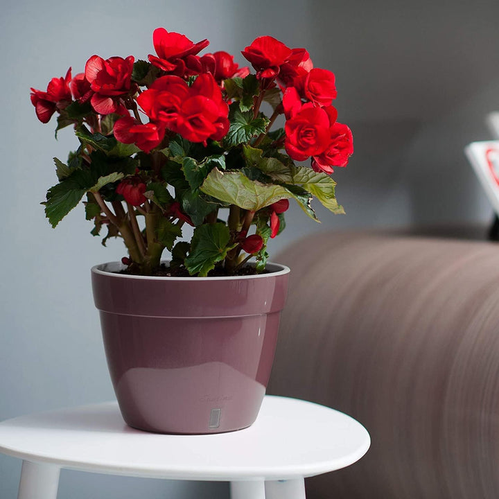 Santino ASTI 27CM Selbstwässernder Blumentopf mit Wasserstandsanzeiger - Rund Premium Qualität Innen