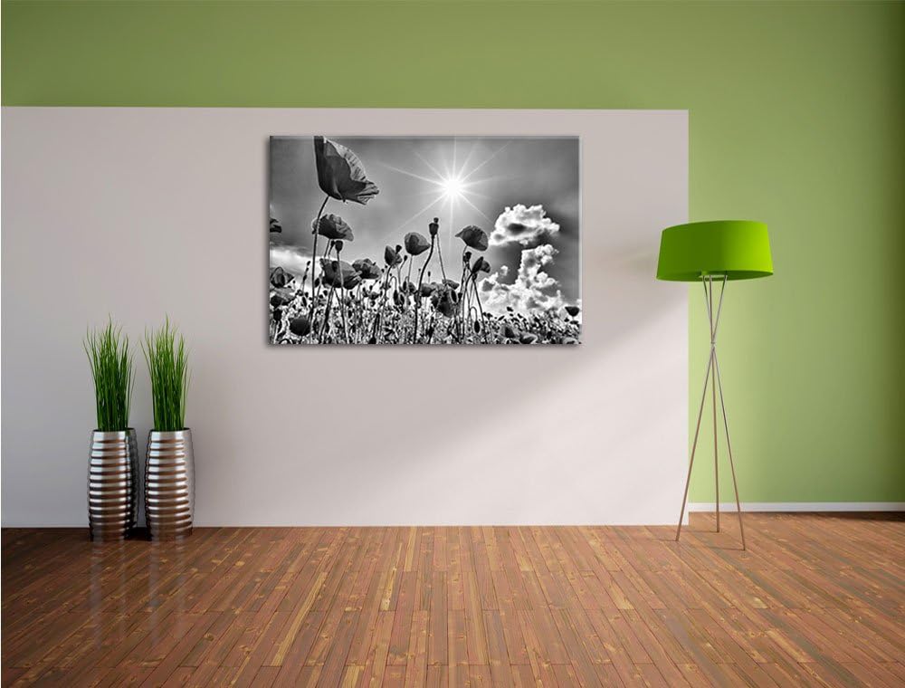 Monocrome, Mohnblumen, Format: 100x70 auf Leinwand, XXL riesige Bilder fertig gerahmt mit Keilrahmen
