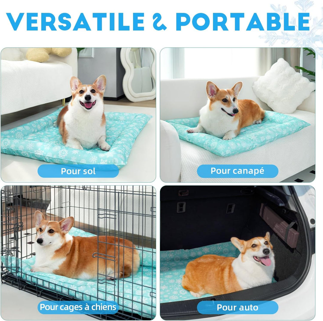 Pawtasy Kühlmatte Katze Kühldecke Hund mit erhöhtem Rand für Freie Atmung Hundekühlmatte selbstkühle